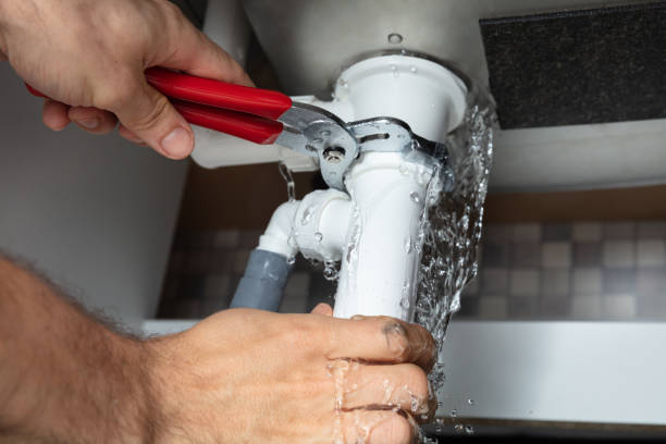 Best Fire Damage Restoration  in Cadott, WI