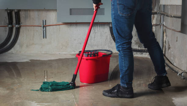Best Commercial water damage restoration  in Cadott, WI