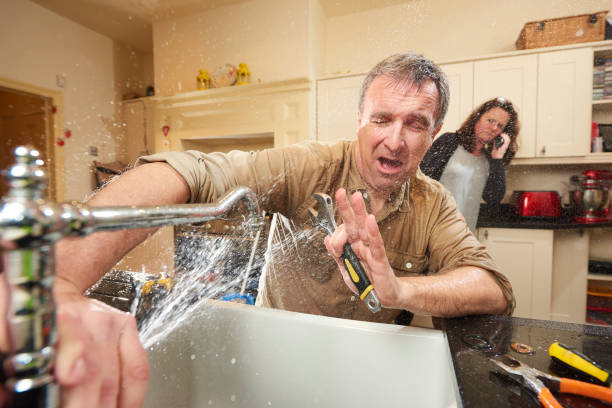 Best Fire Damage Restoration  in Cadott, WI